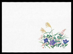 ԕۑN()(100) H(W64564) ~E|