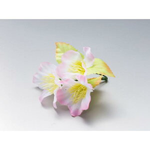 lG̉Ԃ  (100) (W64251) o ԏ