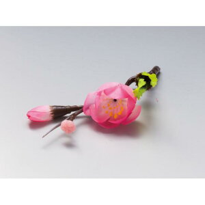 lG̉Ԃ(|~)(100) (W64333) o ԏ