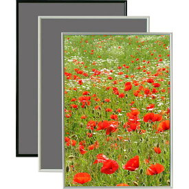 イレパネ シェイプ ポスターサイズ460×620 ホワイト ポスターフレーム イレパネ (エコイレパネ) シリーズ