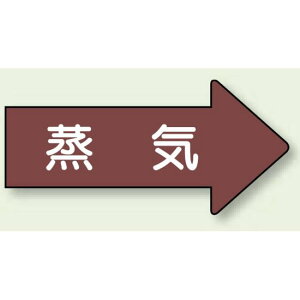 JISzǎʕXebJ[ E C  101g (AS-41L) SpiEHŔ zǕ\XebJ[ Cp