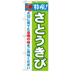 ̂ڂ Y!Ƃ (21506) lR|X  ؁Eʕ 