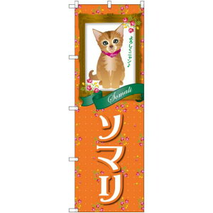 ̂ڂ \} (GNB-2448) lR|X Ǝ ybgVbv ELE