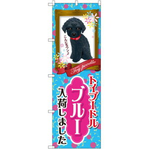 のぼり旗 トイプードル ブルー 入荷 (GNB-2463) ネコポス便 業種別 ペットショップ 犬・猫・小動物