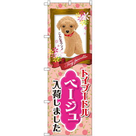 のぼり旗 トイプードル ベージュ 入荷 (GNB-2464) ネコポス便 業種別 ペットショップ 犬・猫・小動物