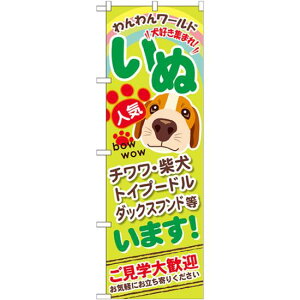 ̂ڂ  (GNB-555) lR|X Ǝ ybgVbv ELE