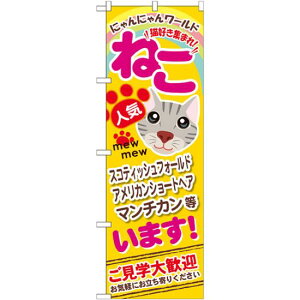 ̂ڂ ˂ (GNB-556) lR|X Ǝ ybgVbv ELE