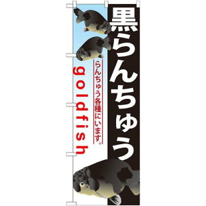 ̂ڂ 񂿂イ (GNB-584) lR|X Ǝ ybgVbv MыE