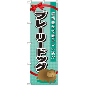 ̂ڂ v[[hbO (GNB-623) lR|X Ǝ ybgVbv ELE