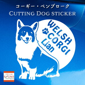 R[M[JbeBOXebJ[ EFVR[M[Ƃ̂߂̃IWifUC ȃfUC  ԃfR[VXebJ[  킢 v[g V[ 1