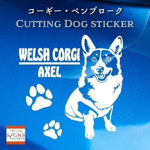 R[M[JbeBOXebJ[ EFVR[M[Ƃ̂߂̃IWifUC ȃfUC  ԃfR[VXebJ[  킢 v[g V[ 5