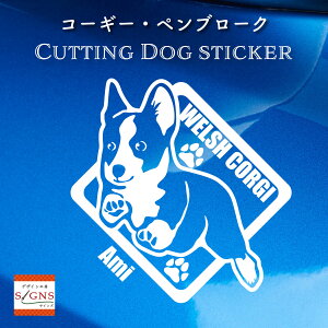 R[M[JbeBOXebJ[ EFVR[M[Ƃ̂߂̃IWifUC ȃfUC  ԃfR[VXebJ[  킢 v[g V[ 7