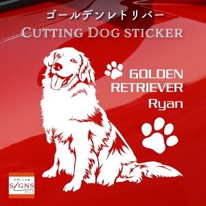 S[fgo[JbeBOXebJ[ S[fgo[ Ƃ̂߂̖OXebJ[ ȃfUC  ԑXebJ[  킢 v[g V[ 12