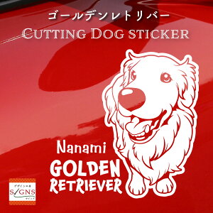 S[fgo[JbeBOXebJ[ S[fgo[ Ƃ̂߂̖OXebJ[ ȃfUC  ԑXebJ[  킢 v[g V[ 17