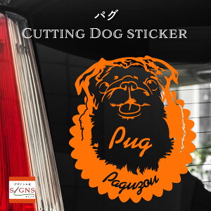 pOJbeBOXebJ[ pO PUG Ƃ̂߂̖OXebJ[ ȃfUC  ԑXebJ[  킢 v[g V[ 4