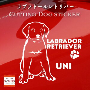 uh[go[JbeBOXebJ[ uh[go[ Ƃ̂߂̖OXebJ[ ȃfUC  ԑXebJ[  킢 v[g V[ 2