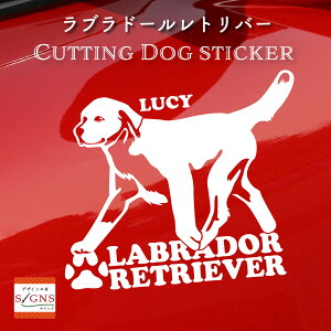 uh[go[JbeBOXebJ[ uh[go[ Ƃ̂߂̖OXebJ[ ȃfUC  ԑXebJ[  킢 v[g V[ 3