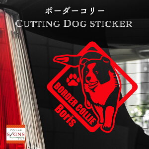 {[_[R[JbeBOXebJ[ {[_[R[ Ƃ̂߂̖OXebJ[ ȃfUC  ԑXebJ[  킢 v[g V[ 5