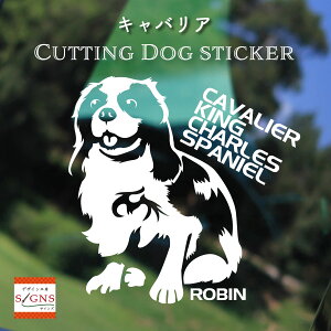 LoAJbeBOXebJ[ LoA Ƃ̂߂̖OXebJ[ ȃfUC  ԑXebJ[  킢 v[g V[ 1