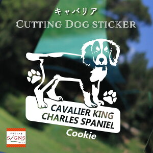 LoAJbeBOXebJ[ LoA Ƃ̂߂̖OXebJ[ ȃfUC  ԑXebJ[  킢 v[g V[ 2