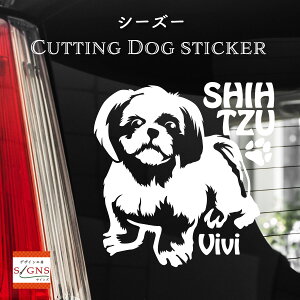 V[Y[ JbeBOXebJ[ V[Y[ Ƃ̂߂̖OXebJ[ ȃfUC  ԑXebJ[  킢 v[g V[ 2