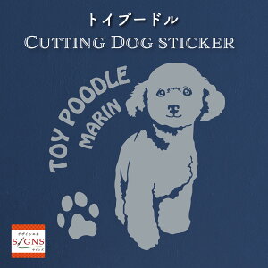 gCv[hXebJ[ Ƃ̂߂̖O gCv[h XebJ[ ȃfUC    JbeBOXebJ[  킢 v[g V[ 1