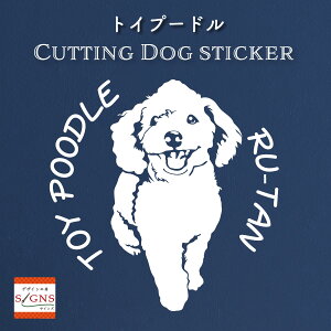 gCv[hXebJ[ Ƃ̂߂̖O gCv[h XebJ[ ȃfUC    JbeBOXebJ[  킢 v[g V[ 3