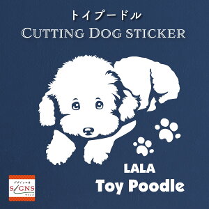 gCv[hXebJ[ Ƃ̂߂̖O gCv[h XebJ[ ȃfUC    JbeBOXebJ[  킢 v[g V[ 5