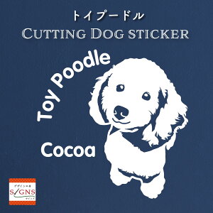 gCv[hXebJ[ Ƃ̂߂̖O gCv[h XebJ[ ȃfUC    JbeBOXebJ[  킢 v[g V[ 6