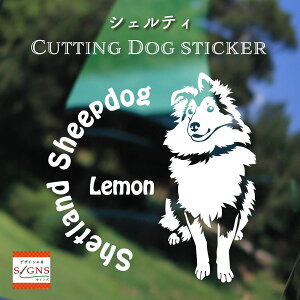 VFeBXebJ[ Ƃ̂߂̖O VFbghV[vhbO XebJ[ VFeB ȃfUC    JbeBOXebJ[  킢 v[g V[