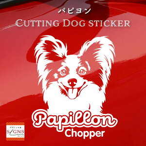 psXebJ[ Ƃ̂߂̖O ps XebJ[ ȃfUC    JbeBOXebJ[  킢 v[g V[ 3