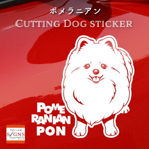 |jAXebJ[ Ƃ̂߂̖O |jA XebJ[ ȃfUC    XebJ[ JbeBOXebJ[  킢 v[g V[ 3