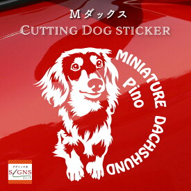 愛犬家のための かわいいミニチュアダックスフンドカッティングステッカー おしゃれなデザインで 名入れ 車 窓 ステッカー 犬 可愛い プレゼント シール オリジナルデザイン 12