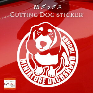 Ƃ̂߂ 킢~j`A_bNXthJbeBOXebJ[ ȃfUC    XebJ[   v[g V[ IWifUC 14