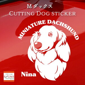 Ƃ̂߂ 炵~j`A_bNXthJbeBOXebJ[ ȃfUC    XebJ[  킢 v[g V[ IWifUC 20