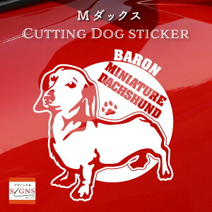 ~j`A_bNXth DƕK ~j`A_bNXthXebJ[ ȃfUC   XebJ[ JbeBOXebJ[  킢 v[g V[ IWi