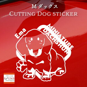 ~j`A_bNXth DƕK ~j`A_bNXthXebJ[ ȃfUC   XebJ[ JbeBOXebJ[  킢 v[g V[ IWi