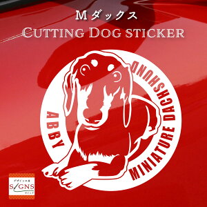 ~j`A_bNXth DƕK 炵 ~j`A_bNXthXebJ[ ȃfUC    XebJ[ JbeBOXebJ[  킢 v[g V[