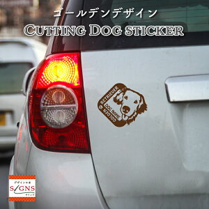 S[fgo[JbeBOXebJ[ S[fgo[ Ƃ̂߂̖OXebJ[ ȃfUC  ԑXebJ[  킢 v[g V[ 5