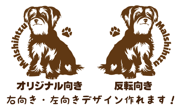 楽天市場】ハーフ犬 マルシーズー 犬 車 ステッカー マルチーズ