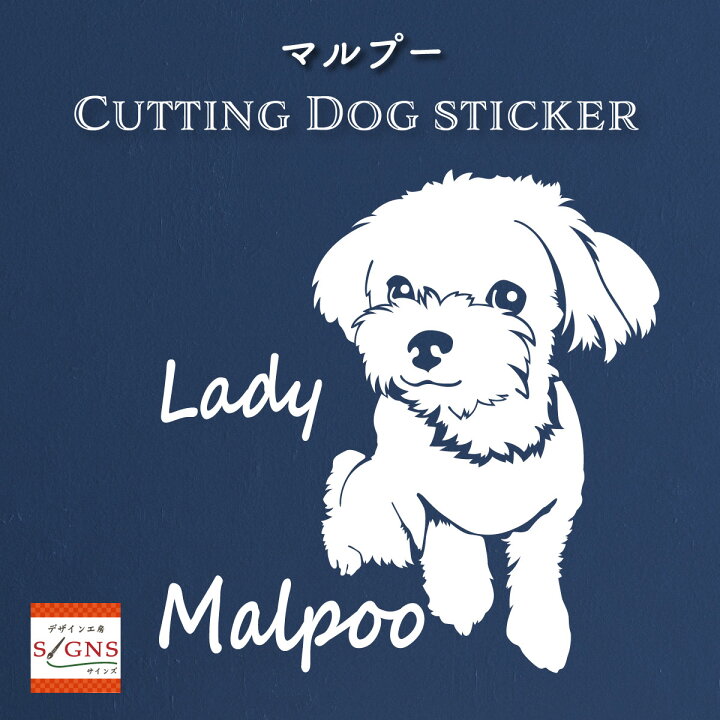 楽天市場 ハーフ犬 マルプー 犬 車 ステッカー マルチーズ トイプードル かわいい 転写式 車ステッカー ミックス犬 Dog ペット シール プレゼント 贈り物 2 カッティングシート デザイン工房 オリジナルグッズ デザイン工房 文字 ステッカー
