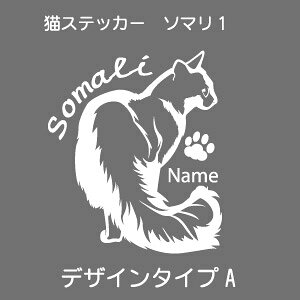 \} XebJ[ L  somali ܂  V[ 킢 JbeBOV[g ]ʎ  ԃXebJ[  cat lR ˂ IWifUC v[g 蕨 1 fUCH[ I