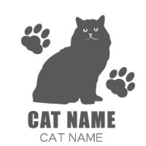 LXebJ[ L XebJ[ lR ˂ V[ ybgl[ CAT 20 LJbeBOXebJ[ JbeBOV[g fUCH[ IWiObY