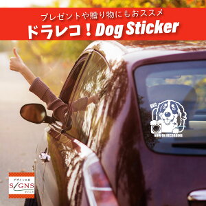 hRXebJ[ o[j[Y }EehbO hCuR[_[ XebJ[ 킢 JbeBO ]ʎ   ԃXebJ[  dog hbO Ck  ybg V[ h