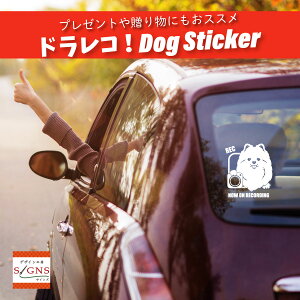 hRXebJ[ |jA hCuR[_[ XebJ[ ۂ߂ɂ 킢 JbeBO ]ʎ   ԃXebJ[  dog hbO Ck  ybg V[ h