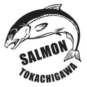 XebJ[ TPXebJ[ ALAW TP  JbeBOXebJ[ XebJ[ V[ JbeBOV[ IWiObY