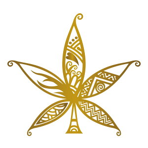 wv  XebJ[ hemp V[  EBhE  AT    JbeBOV[g  QG HEMP   v[g 蕨 14 fUCH[ IWiObY