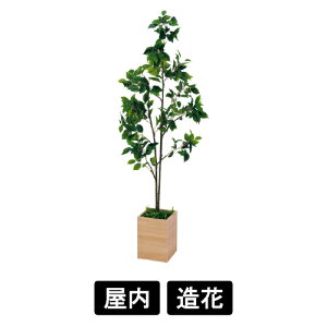 tFCNO[ ؃v^[ H1200/H1500tBJXxW~E[JEV[O[vlHϗtA A[eBtBVO[  Xܑ ItBXΉ xN O[[