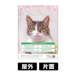 v[gŔ uL̃GTv W450×H600mm pR 54J y tt z GT}i[ a֎~ at֎~ ǔL΍ ǔLی L nL ̈ꕔt  { 