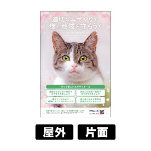 v[gŔ uL̃GTv W300×H450mm pR 54J y tt z GT}i[ a֎~ at֎~ ǔL΍ ǔLی L nL ̈ꕔt  { 